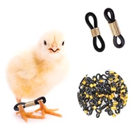 10Pcs Adjustable Poultry Leg Bands Chick Leg Hobbles Chicken Hobble Braces for chicks ducks