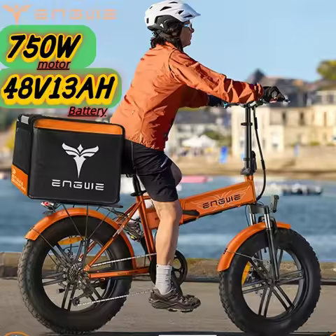 Electric bicycle Engwe EP-2Pro 750W motor 48V13AH 20-inch fat tire all-terrain rideable mini folding