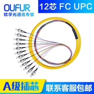OFGD12-Core Harness Tail Fiber Optic Fiber FC/UPC Telecom Grade Single-Mode Jumper SC/ST/LC Multi-Co