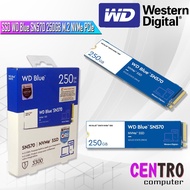 Ssd WD Blue SN570 250GB m.2 NVMe PCIe - WD Blue 250GB ssd m.2 NVMe