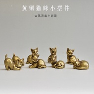 Welcome to Shop, Ready Stock Fast Shipping ins Europe America Japan Korea Trendy Department Store Br