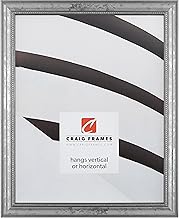 Craig Frames 314SI, Ornate Silver Picture Frame, 16 x 20 Inch