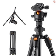 K&amp;F CONCEPT Portable Camera Tripod Stand Aluminum Alloy 160cm/62.99 Max. Height 8kg/17.64lbs Load Capacity Low Angle Photography Travel Tripod with Carrying Bag  G&amp;M-2.20