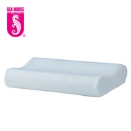 Sea Horse Foam Pillow Moderate in Softness (P-GOM) Wavy Type