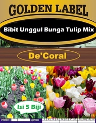 Bibit Unggul Bunga Tulip Mix | Biji Benih Bunga Tulip Warna Warni