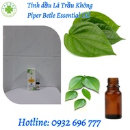 Tinh dầu Lá Trầu Không Piper Betel Leaf essential oil giúp chống viêm nhiễm giảm đau kích thích tiêu
