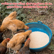 Smart Chicken Feeder Food Trough Cup For Chicks Suitable Chickens Ducks Geese.