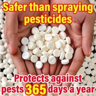 200 pieces of horticultural insecticidal tablets - green plant insecticidal tablets kill spider mite