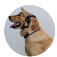 Jizai Travel Sun Hat Outing Sunshade Net Breathable Pet Dog Hat Sunscreen Hat G-Shaped Baseball Cap 