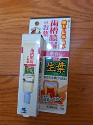 KOBAYASHI Pharmaceutical Shoyo Tightening Toothpaste 小林製藥生葉精華／生葉牙膏