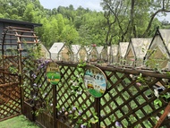 Tonghua Courtyard (Ji'an Wugong Mountain)