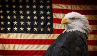 BELECO American Flag and Bald Eagle Backdrop 15x10ft Fabric Independence Day 4th of July Patriotic F
