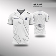 Custom Fullprint 2024 Liquid Team Gaming Jersey