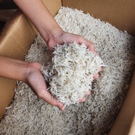 PUTIH Medan Anchovy 500gr/Medan Rice Anchovy/100% White Anchovy