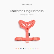 [INHERENT] Macaron Dog Harness