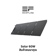 (สินค้าสมนาคุณ) EcoFlow Solar 60W