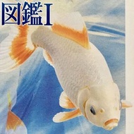 🈲 絕版珍藏 🈲 Yujin 原色観賞魚図鑑Ⅰ原色觀賞魚圖鑑 (Jikin 地金) 金魚 2006年