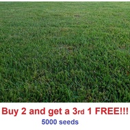 Guaranteed germination rate Zenith zoysia Grass 5000 Seed Beginner Kit