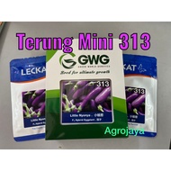 Fresh Stock Baru Sampai  Terung Mini 313 Leckat Little Nyonya F1 Hybrid Eggplant 10gm 小娘惹 茄子 种子