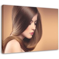 Hair Salon Wall Decor Poster Hairdressing Posters Brown Straight Hair Canvas Poster Wall Art Decor P