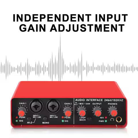 USB Audio Interface with Microphone 24Bit/96kHz for Recording Music, XLR Interface with Phantom Powe