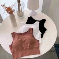 【 READY STOCK 】( AC ) ( 0950 ) Sport Bra Running Gym Yoga Camisole No Rims Sports Pad Bra