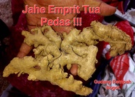 jahe emprit 1kg - jahe emprit Segar