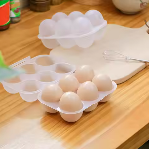 Eggs Holder 6 Eggs Storage Container with Fixed Handle Plastic Eggs Storage Box Outdoor Camping Eggs