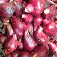 Dayak Onion 1kg