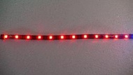  12V  LED軟燈條 LED 霓虹燈帶(紅.藍)