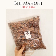 Biji Mahoni Premium | Biji Buah Mahoni 1kg