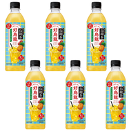 好烏龍 鳳梨荔枝烏龍茶 500ML X6