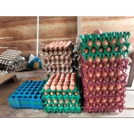 Plastic Egg Tray/Egg Tray Chicken Duck Egg Tray - 1pcs