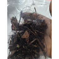 Cenuai rambut 1 pack asli