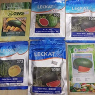 Leckat168/1096/373  GWG323  Watermelon seeds