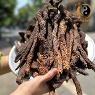 Premium natural dried Mongolian wood-dried hummus root from fresh hummus helps nourish the kidneys a