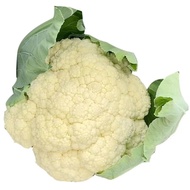 20 seeds CAULIFLOWER SEEDS 45 Days-Organic Cauliflower Vegetable Seeds