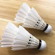 羽毛球 對打 陪練 包場包球 RSL supreme