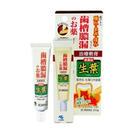 小林製藥 生葉  牙痛・牙齦消腫消炎治療軟膏 20g【第3類醫藥品】