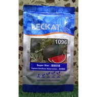 Benih Tembikai Merah Tanpa Biji Super Star LECKAT 1096 (100gm)