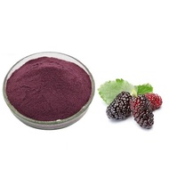 Natural Herbal Mulberry Powder Extract for Energy Tea Ingredient for Men Women 300g