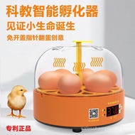 Experimental Egg Incubator Chick Incubator Small Household Automatic Egg Incubator Children's Smart Incubator