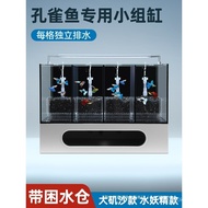 Guppy Water Filter Version System Big Group Rock Guppy Promotes Guppy Big Factory Tank Fish Tank San