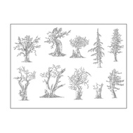 H Tree 9 Transparent Seal Crystal