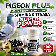 JAMU MERPATI PIGEON PLUS isi 100 Butir jamu penambah stamina tenaga cc naik 3x lipat jamu ferfect po