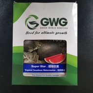 Lecket WATERMELON 1096  10×20gm