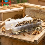 [Mulstore] for Beetle Trap Collection Tool: Effective Catcher