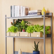 Verda Garden Modular 全套 (種植燈 + 種植箱) | 水耕機種菜機