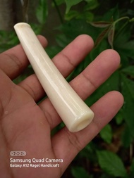 pipa once iga duyung bulat 10.cm