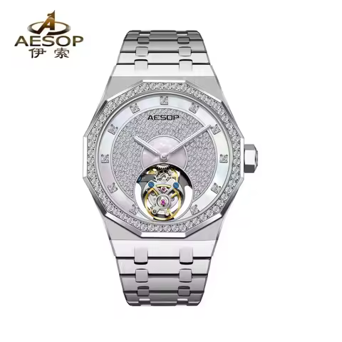 AESOP Flying Tourbillon Mechanical Skeleton Watch For Man Watches Waterproof Wristwatches Sapphire M